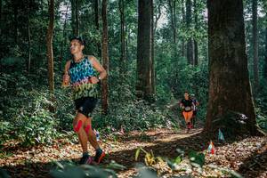 BIB: 
                            <button type="button" onclick="openModal(26083536)" class="btn btn-primary btn-sm float-right btn-popup" data-toggle="modal" data-target=".modal-high-quality">
                        <i class="fas fa-shopping-cart"></i> Add to Cart
                    </button>
                                            <button type="button" onclick="isThisMe(26083536, true)" class="btn btn-success btn-sm float-right btn-popup btn-isme hidden" data-toggle="tooltip" data-placement="bottom" title="นี่คือรูปของคุณใช่ไหม คลิกที่นี่เพื่อเอาเข้าอัลบั้ม">
                        <i class="fas fa-plus"></i> Add to album
                    </button>
                    <button type="button" onclick="isThisMe(26083536, false)" class="btn btn-warning btn-sm float-right btn-popup btn-isnotme hidden">
                        <i class="fas fa-ban"></i> Remove from album
                    </button>